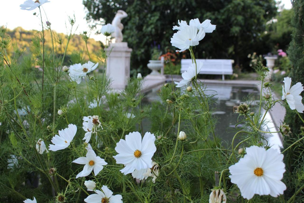 Chateau Du Grand Jardin วาล็องโซล ภายนอก รูปภาพ