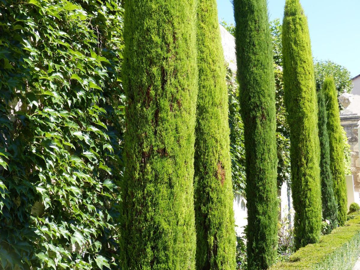 Chateau Du Grand Jardin วาล็องโซล ภายนอก รูปภาพ